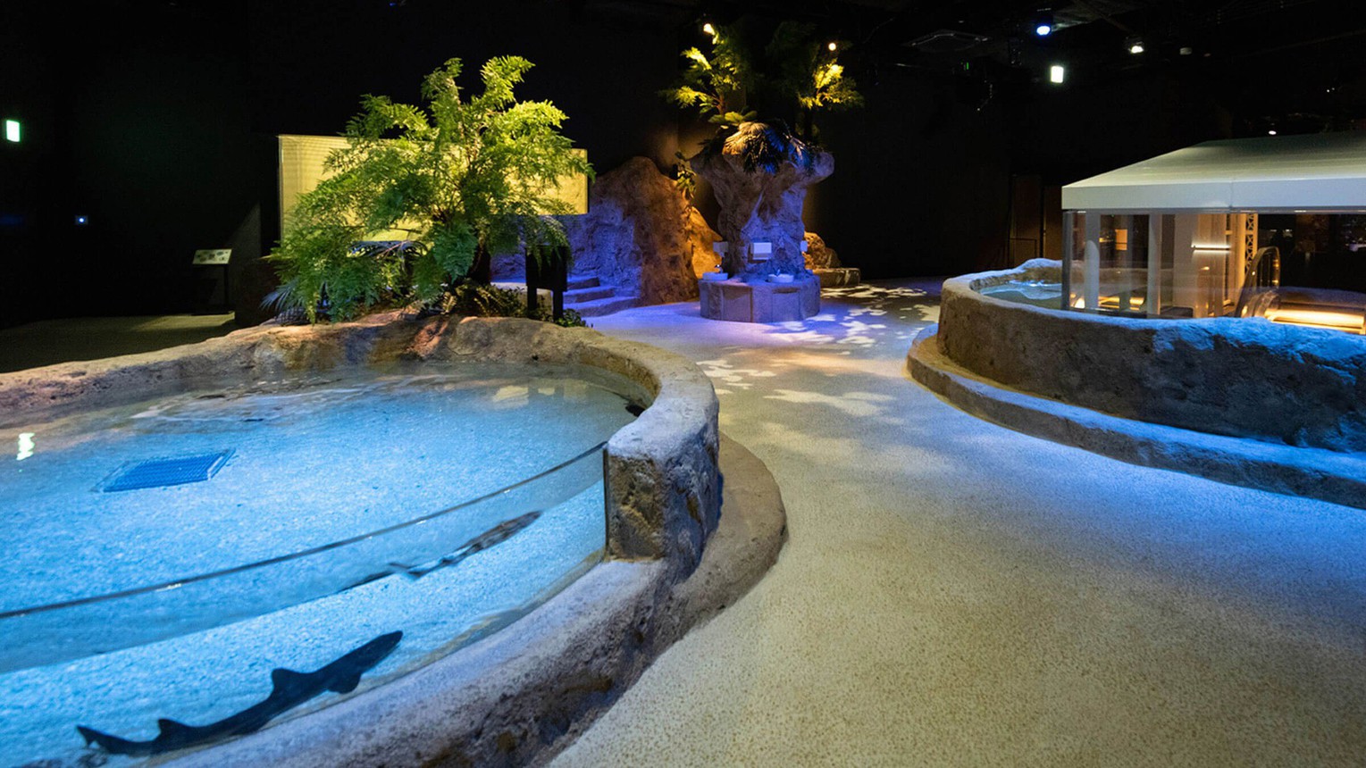 【DMMかりゆし水族館チケット付】ホテルから車で10分♪新しいカタチのエンタテイメント水族館／朝食付