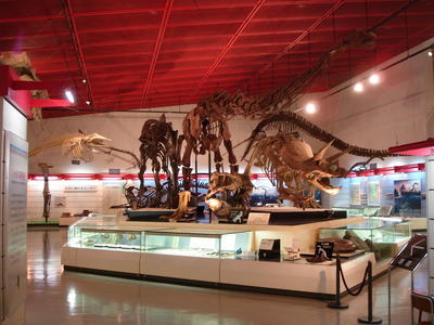 ほるる（旧：石炭化石館）