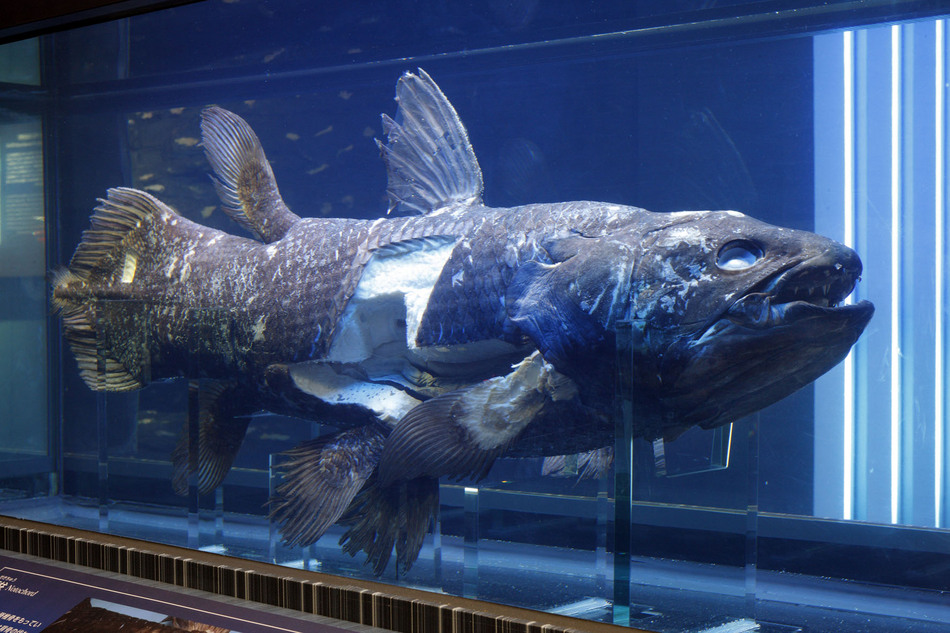 アクアマリン２