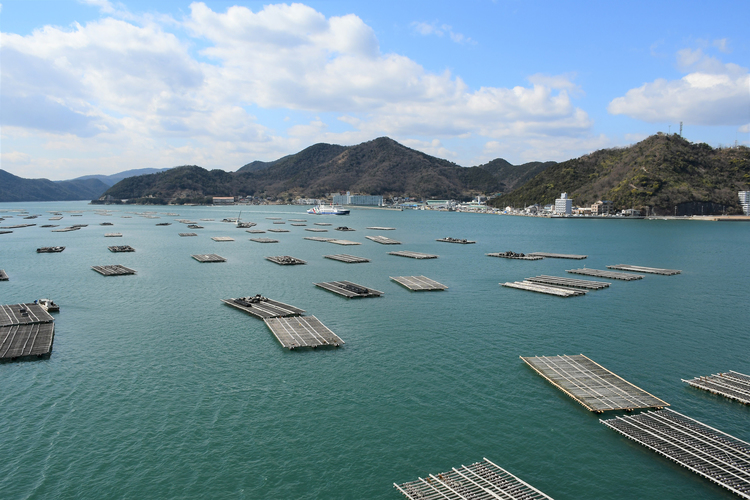 日生港の牡蠣筏