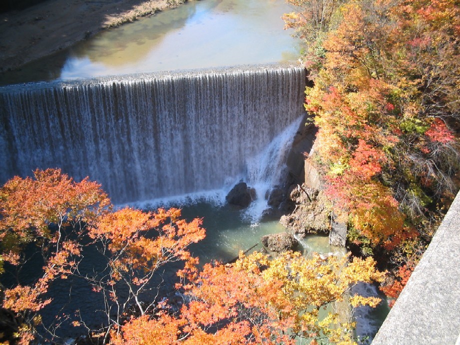 紅葉の森の大橋