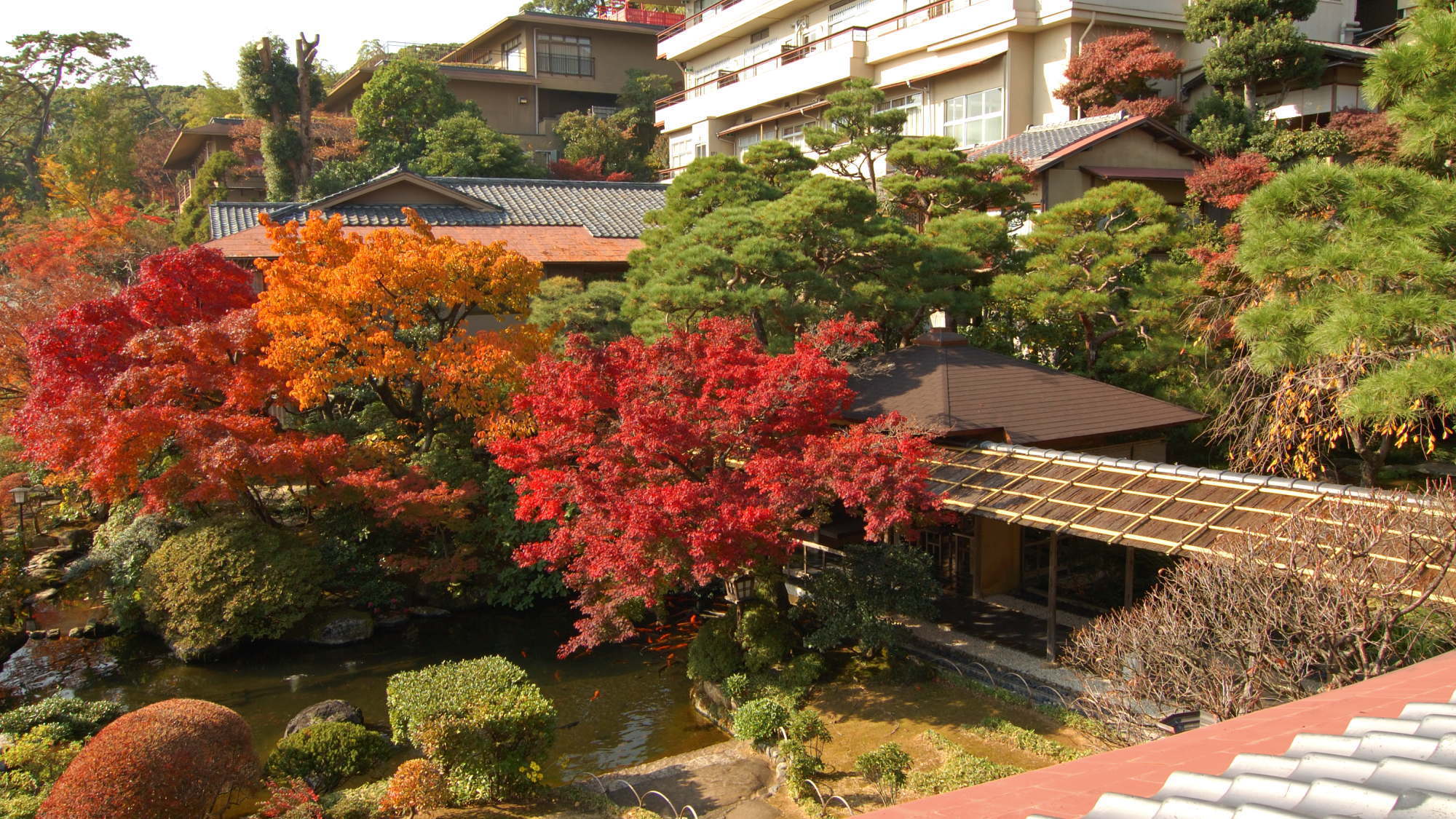 【庭園の風景】