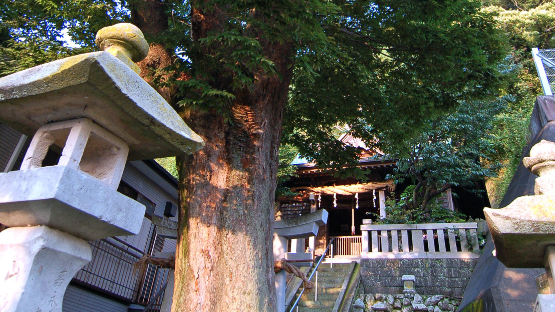 【周辺観光】近くのお寺は湯上りのお散歩にぴったりです。