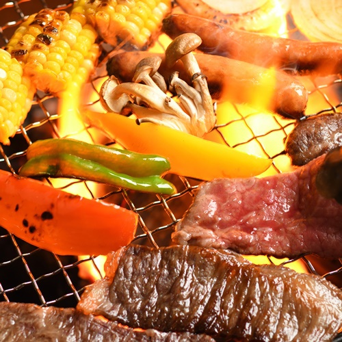 渓流やドックランでは、BBQをお楽しみいただけます。家族や仲間とみんなでワイワイ、盛り上がれますよ。