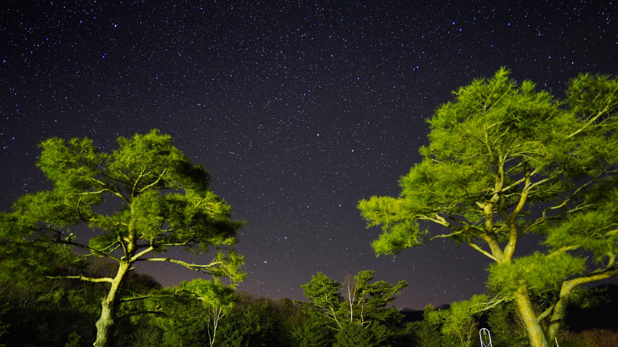 【星空観察会】写真提供：写真家阿部雄一