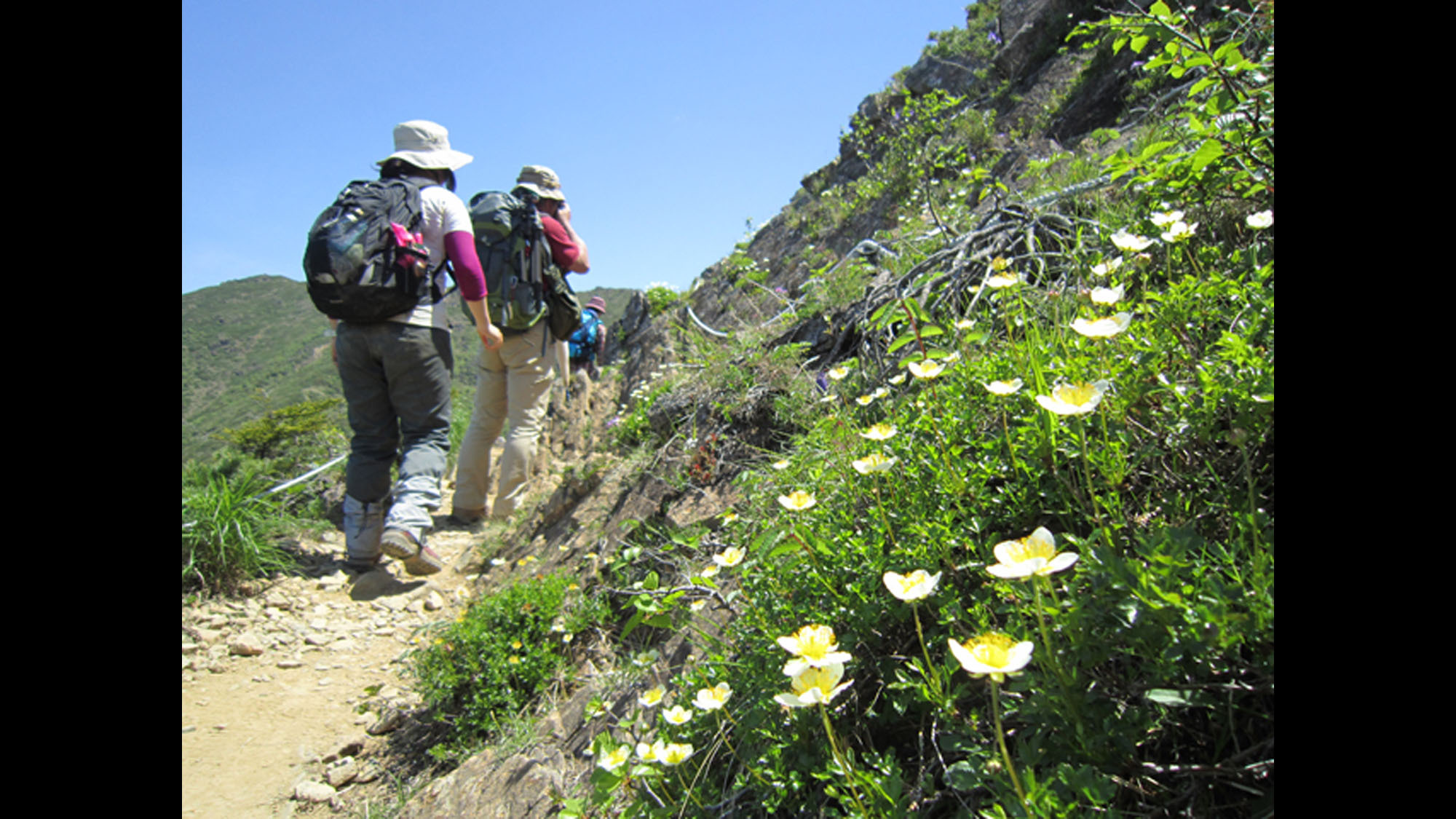 【アポイ岳登山】