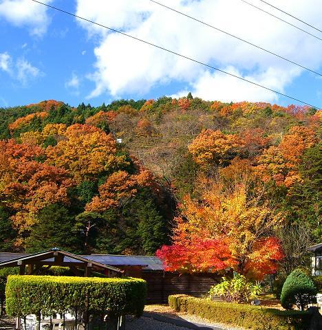 紅葉の庭園