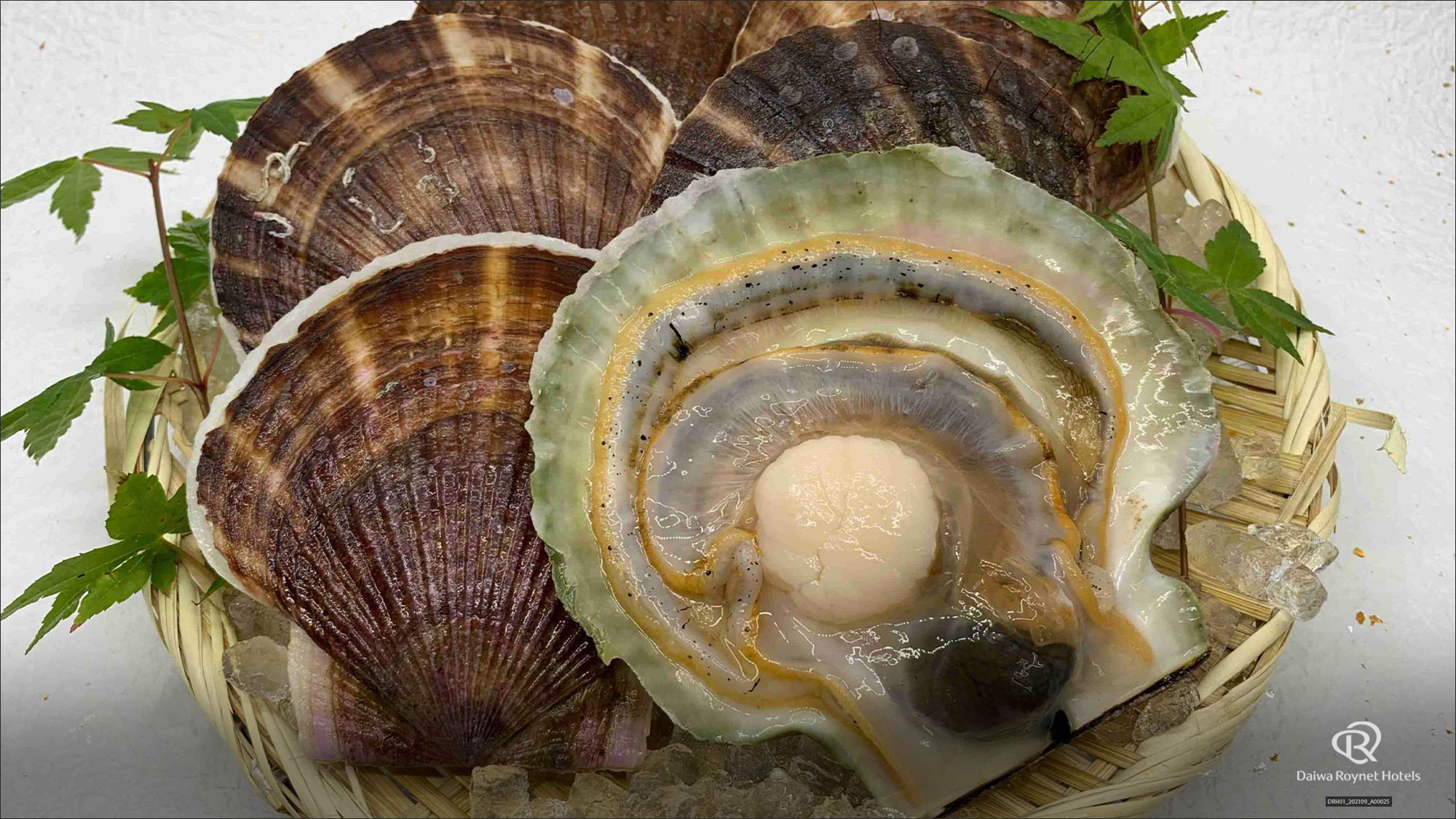 1階居酒屋「海の台所 稲瀬」夕食メニュー一例活ホタテ