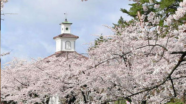 桜咲く春の景色