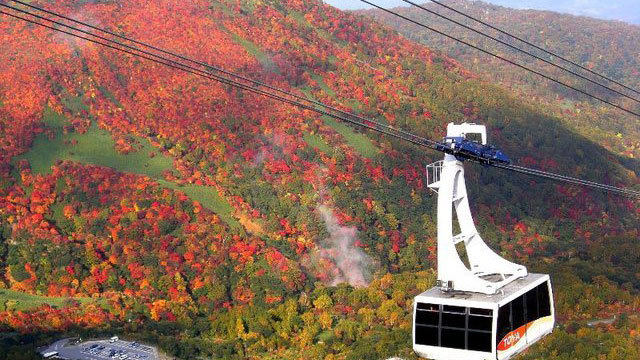 【観光施設】初夏から秋まで、新緑に始まり、紅葉も楽しめる那須ロープウェイ