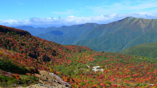 【紅葉】茶臼岳「姥ヶ平」の紅葉
