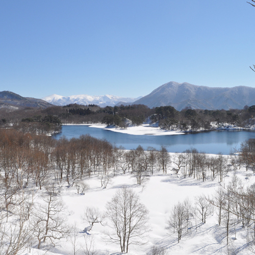 冬の秋元湖では桧原湖に負けないくらいワカサギ釣りのお客様が沢山です