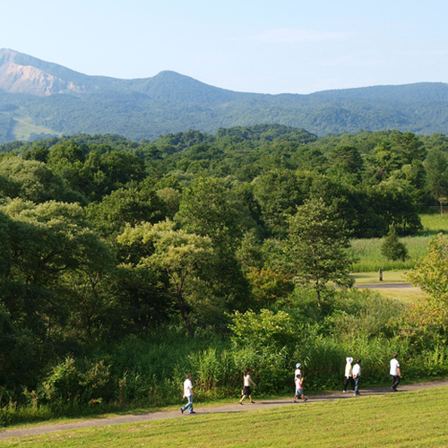 朝の自然を楽しめる３０分の朝のお散歩会