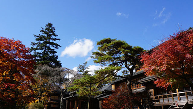 日光田母沢御用邸記念公園の紅葉 11月中旬