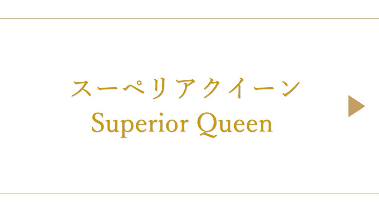 スーペリアクイーン（約16平米/ベッド幅160cm）