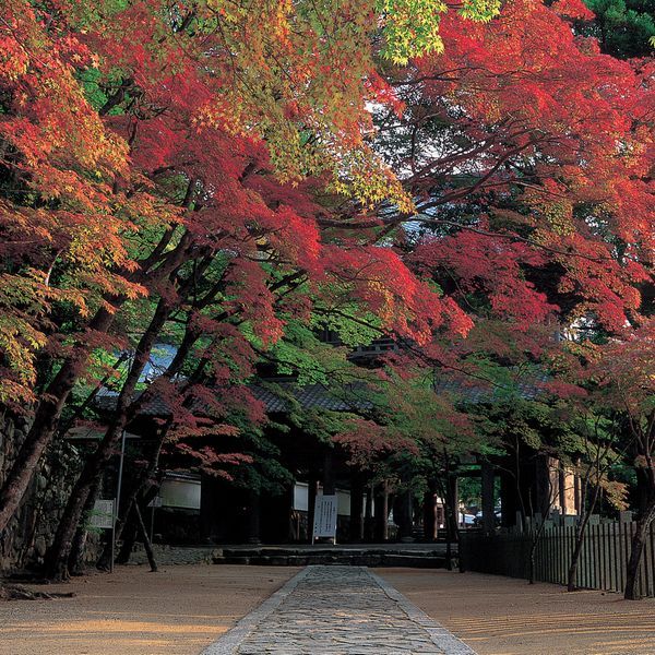 永源寺の紅葉