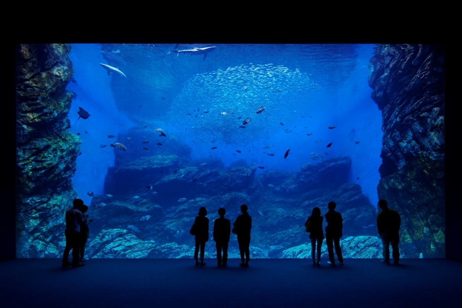 うみの杜水族館までお車約10分！