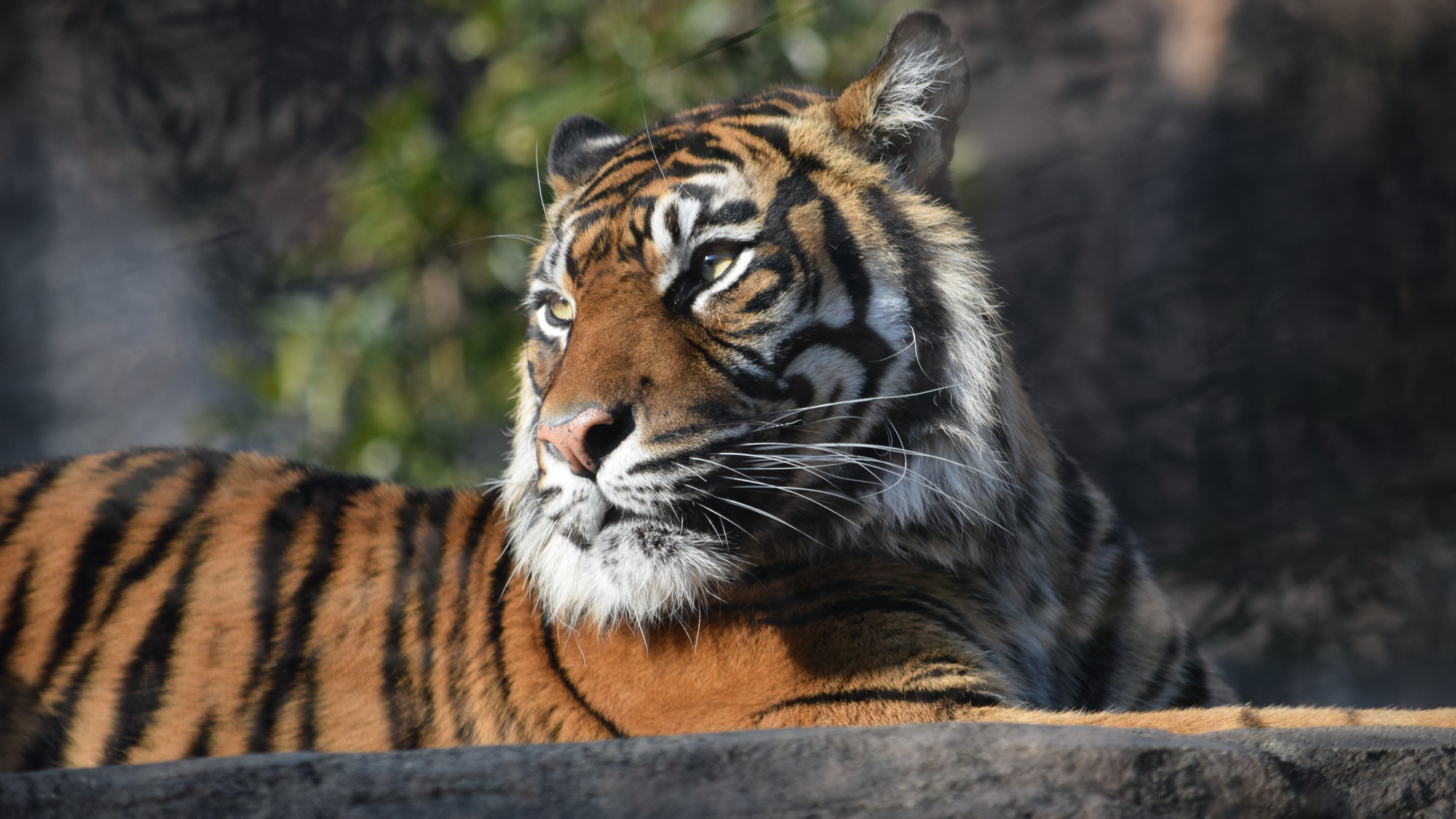 宮城県仙台市八木山動物園