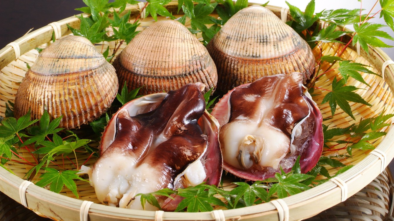 【素材一例】日本一の「とり貝」はじめ、地元で獲れるアサリや岩ガキは夏の人気の味覚です。