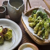 山菜料理＜イメージ＞