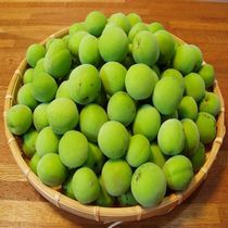 梅酒＜イメージ＞