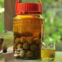 梅酒＜イメージ＞