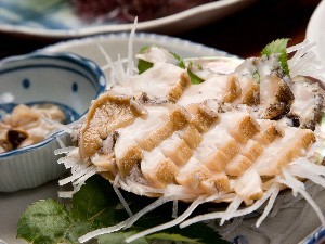 あわび刺身
