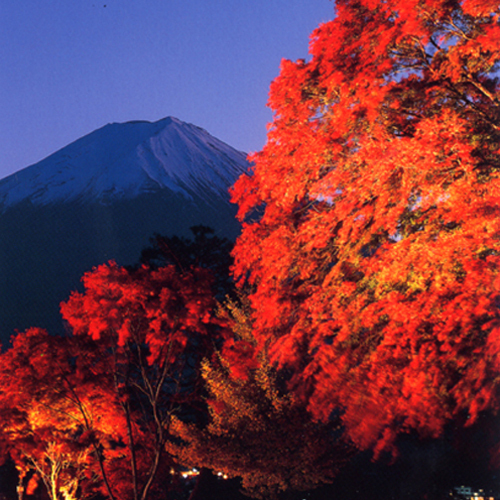 富士山と紅葉