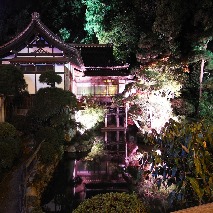 宝登山神社ライトアップ庭