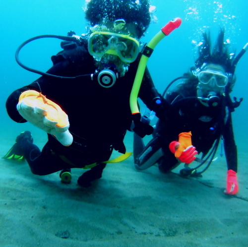 カップルダイバー