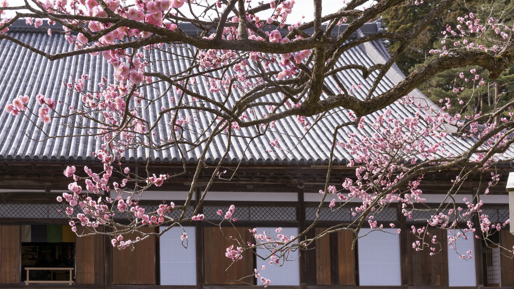 *【周辺観光】春の陽光に映える瑞巌寺。歴史ある佇まいが訪れる人を迎えます。