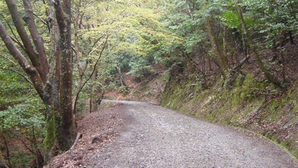 Hatago Hasegawa Image 3, Nara, Japan
