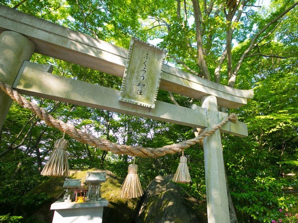 フクロウ神社