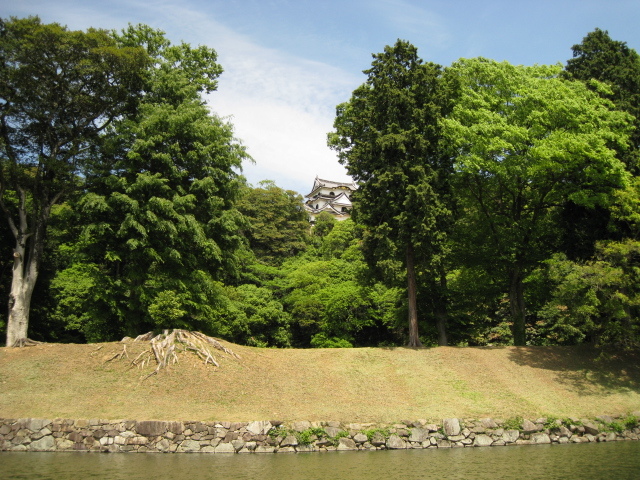 お堀から見た彦根城お堀の周りを屋形船で遊覧することができます♪