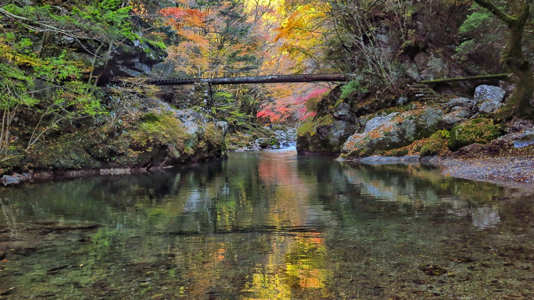 *小田深山の紅葉紅葉の遊歩道をゆっくり散策。20種類以上の紅葉で彩られます！