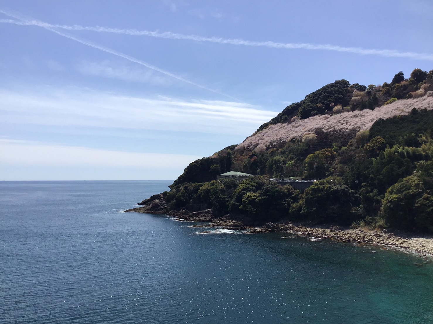 部屋からの鬼ヶ城の桜