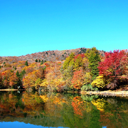 紅葉の茶臼山