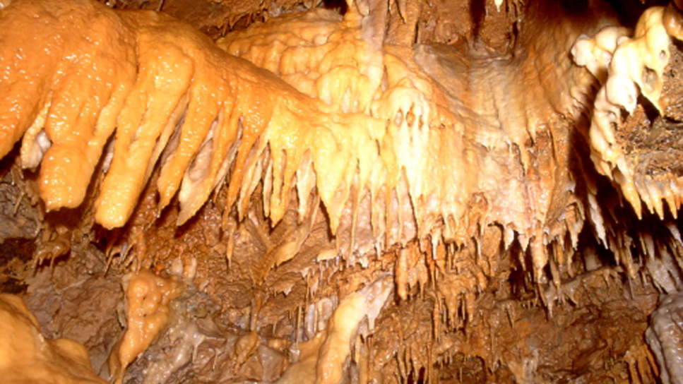 大自然の神秘。東海地方最大級の鍾乳洞「竜ヶ岩洞」