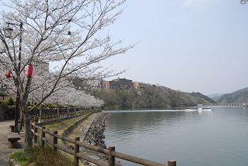 湖畔（桜、船）