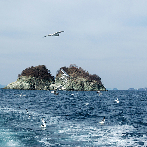 This photo about Shiokazeso shared on HyHotel.com