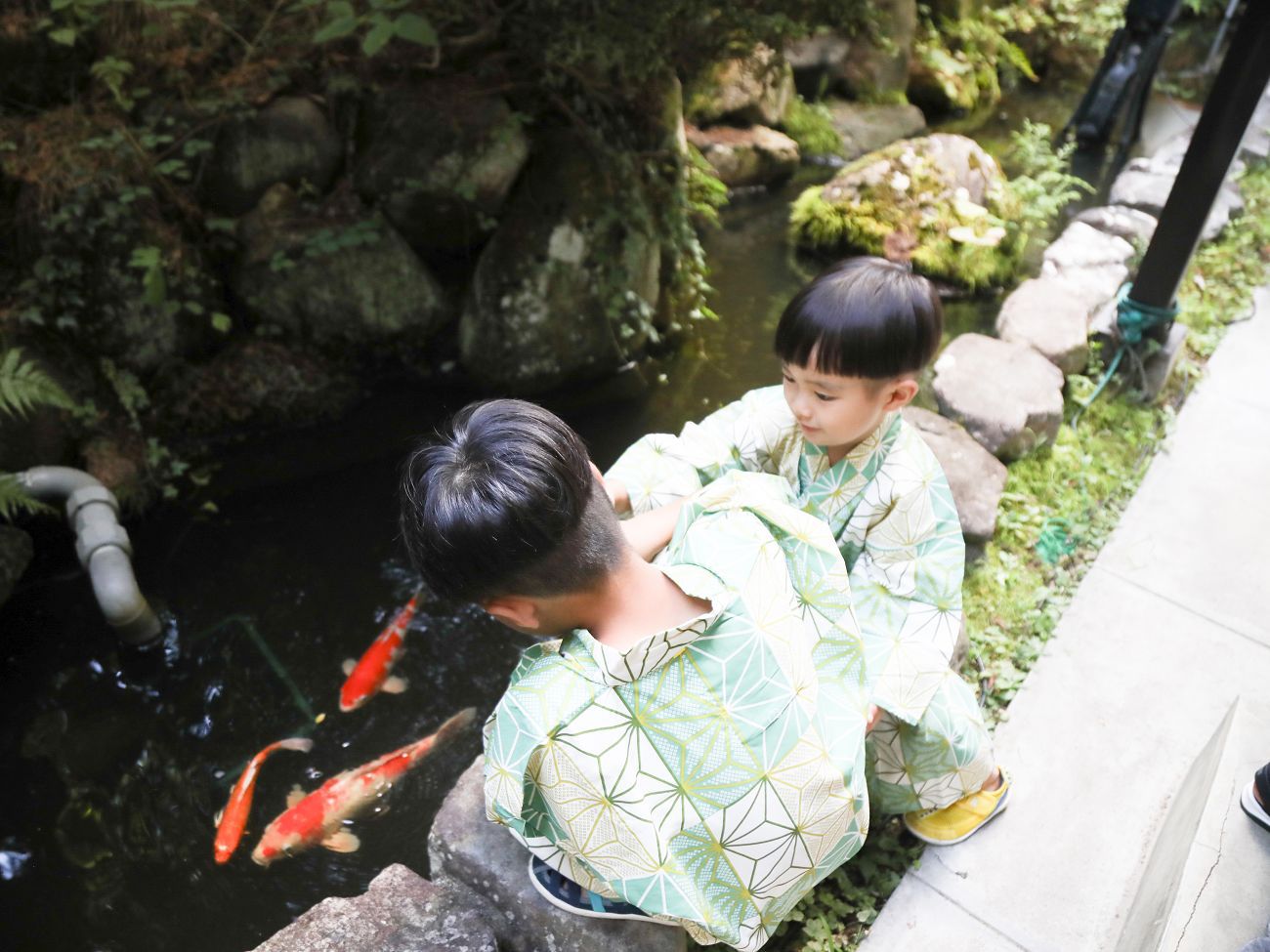 一部客室ではお庭の鯉に餌をあげる事が出来ます。