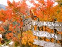 紅葉