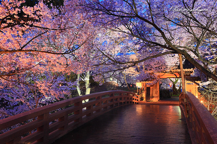 This photo about Hotel Meadow Gardens shared on HyHotel.com