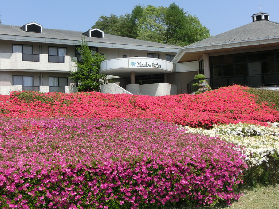 This photo about Hotel Meadow Gardens shared on HyHotel.com