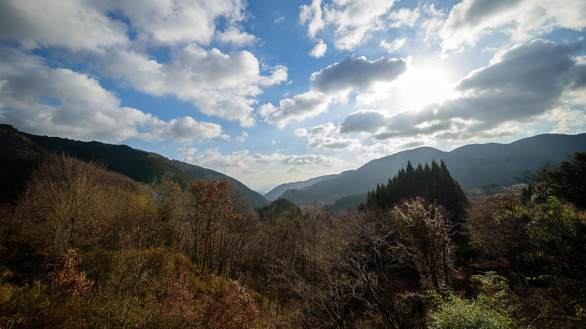 湯平温泉 奥ゆのひら 花灯りの施設情報 His旅プロ 国内旅行ホテル最安値予約