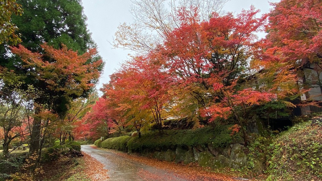 園内の紅葉