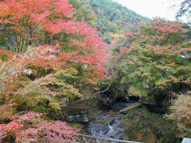 山中渓谷