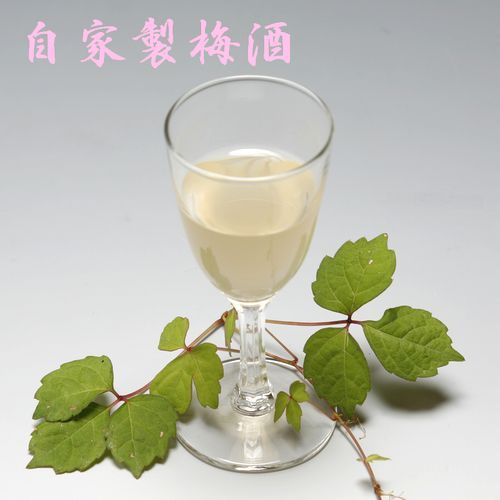 自家製梅酒