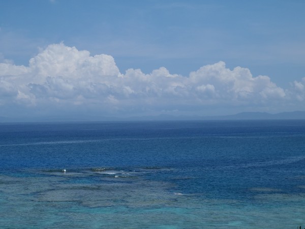 やんばるの海・・・・・