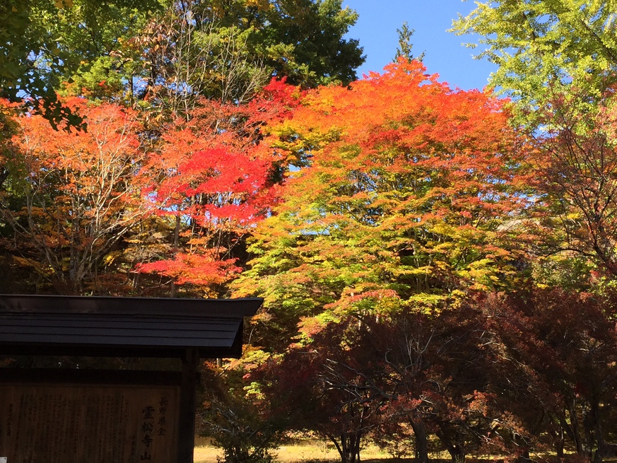 大町霊松寺の紅葉①11月初旬